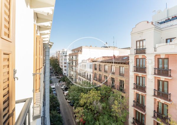 Flat for rent in Castellana (Madrid)