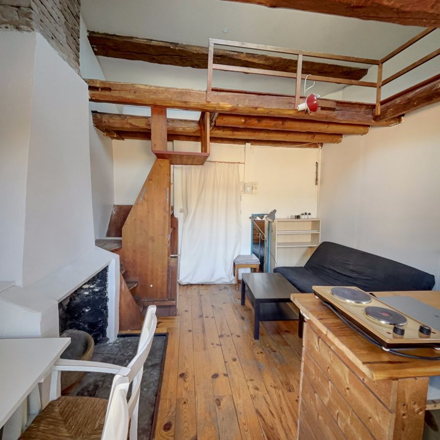 Location Appartement 1 pièce 19m² GRENOBLE 38000 - Photo 1