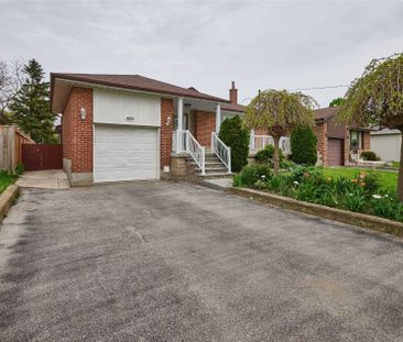 For Lease - 559 Mccowan Road Unit# Bsmt, Toronto, Ontario - Photo 6