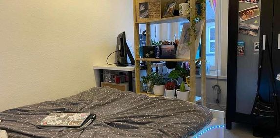 Thesiger St // Bed + Study Rooms // Aug, LN5 - Photo 2