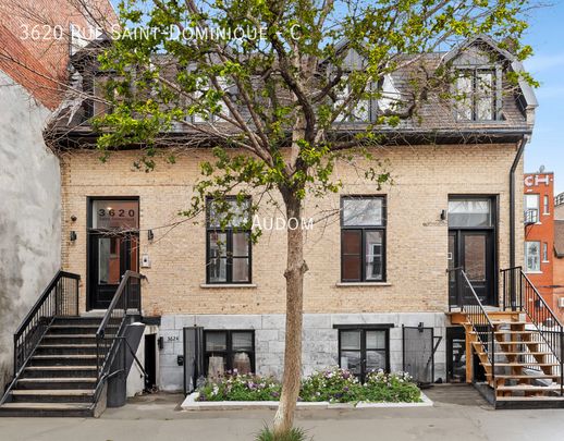 3620 Rue Saint-Dominique - C - Photo 1
