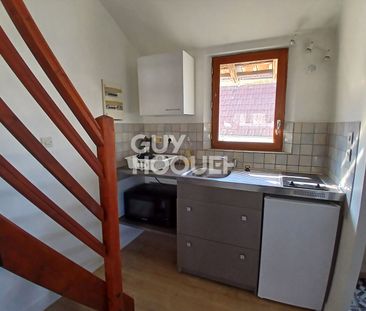 Location Appartement 1 pièce 23m² - Photo 4