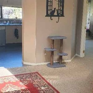 Walk to the shops - Photo 2