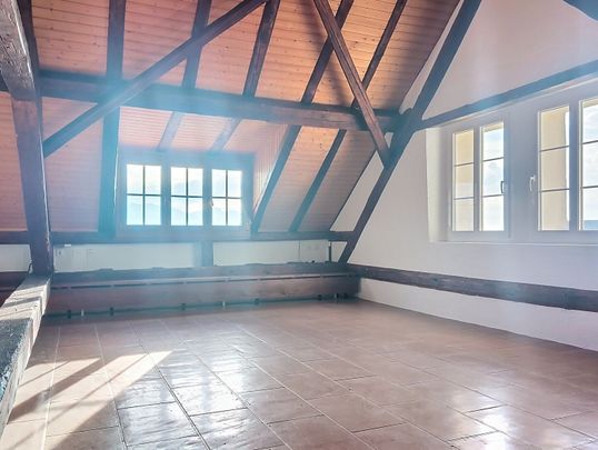 Located in the heart of the picturesque village of Epesses, this charming apartment occupies part of an authentic winegrower's house, offering a peaceful and typically Lavauxian living environment. - Photo 1