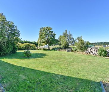 Rural Location: 3BR Kaiapoi Home with garden - Photo 3