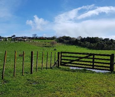 Property Management400 Waitakere Rd, Taupaki - House for Rent - Photo 1