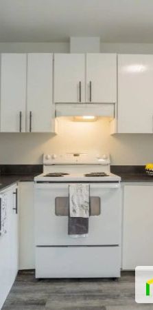 270, boulevard Thimens, Saint-Laurent à louer - Photo 1