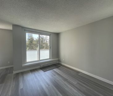 Updated and Bright Corner Unit Two Bedroom in Convenient Lougheed Area - Photo 4