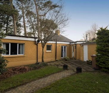 Fenny Drayton Cottage, 19 Cloghan Road, Armagh, BT61 8JR - Photo 6