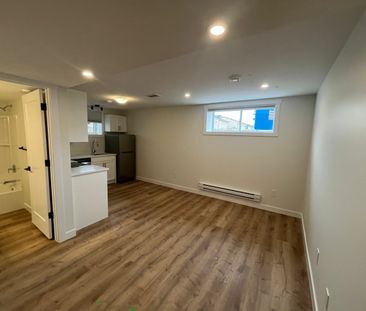 1 Bedroom Basement Suite in Brighton - Photo 3