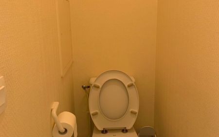 Appartement à louer 3 pièces • 47,90 m2 Paris 19 - Photo 3