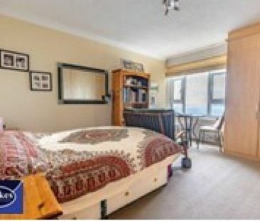 SEA VIEWS at Albany Manor Rd - Photo 6