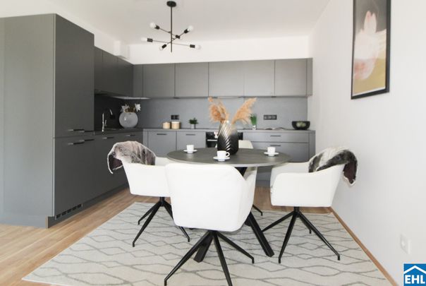 DER BALLON - Ankommen und abheben - NATURNAHES WOHNEN NAHE DER SEESTADT ASPERN - Photo 1