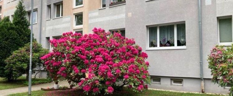 Wohnung mit guter Anbindung zur Infrastruktur - Foto 1