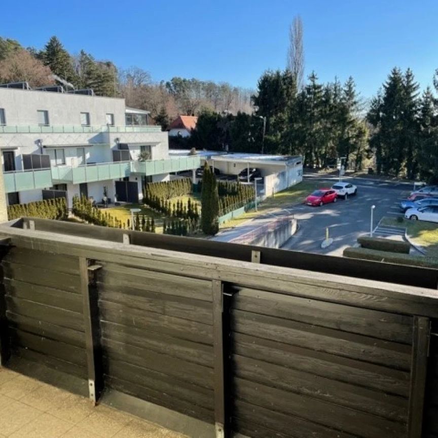 Mietwohnung Waltendorf - Photo 1