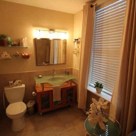 Magnifique 4 1/2 Montcalm rénové - Photo 4