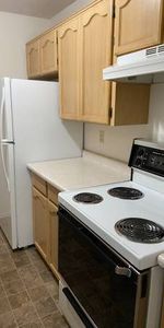 Friendly Community at Mayfair Village West - Photo 3