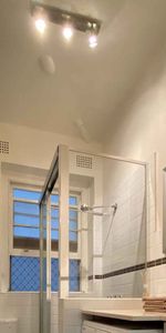 Lovely Apartment located in the heart of Potts Point - Photo 4
