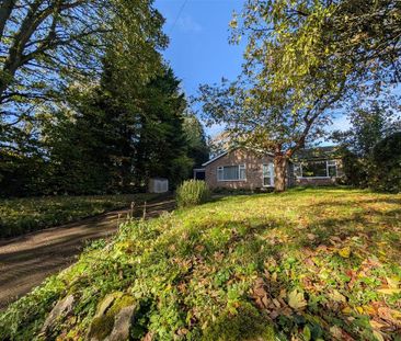 3 bedroom detached bungalow to rent - Photo 6