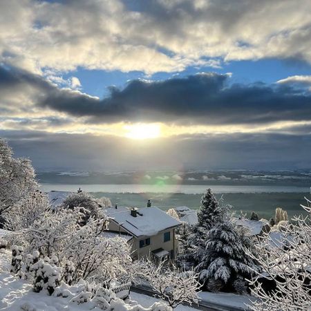 Grande maison avec piscine et vue panoramique - Villars-Burquin (VD) - Photo 3