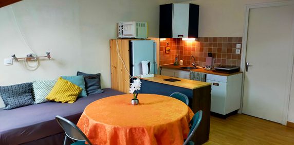 STUDIO MEUBLE - 29.59 m² - PARAY LE MONIAL - Photo 2