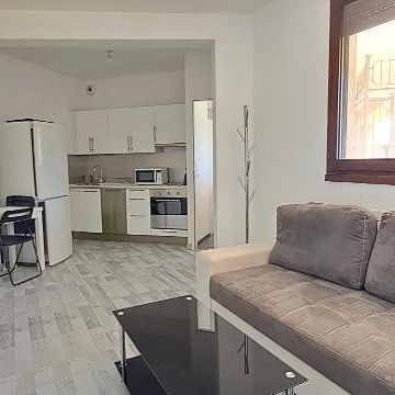 Location Appartement 1 pièce 26m² ECHIROLLES 38130 - Photo 1