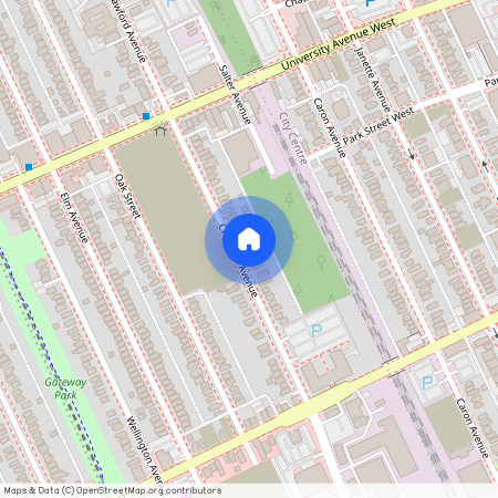 454 CRAWFORD, Windsor