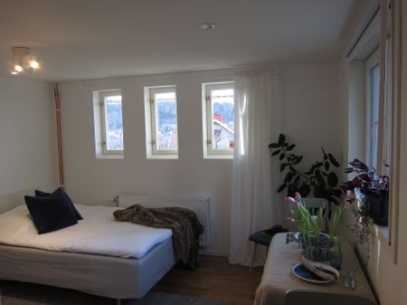 Södra Parkgatan, Huskvarna - Foto 2