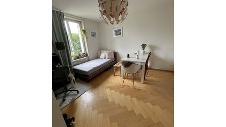 3½ Zimmer-Wohnung in Zürich - Kreis 10 Wipkingen, möbliert, auf Zeit - Foto 2