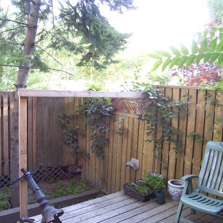 Lrg 1 bdrm aptm garden laundry quiet st close to transport, park, DVP - Photo 4