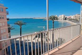 Apartment in Torrevieja, playa del cura, for rent