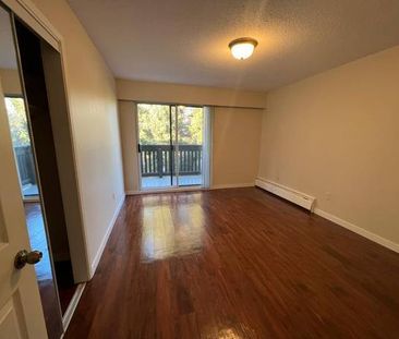 NEW WESTMINSTER 3 BEDROOM 1.5 BATHROOM available on February 1st - Photo 1