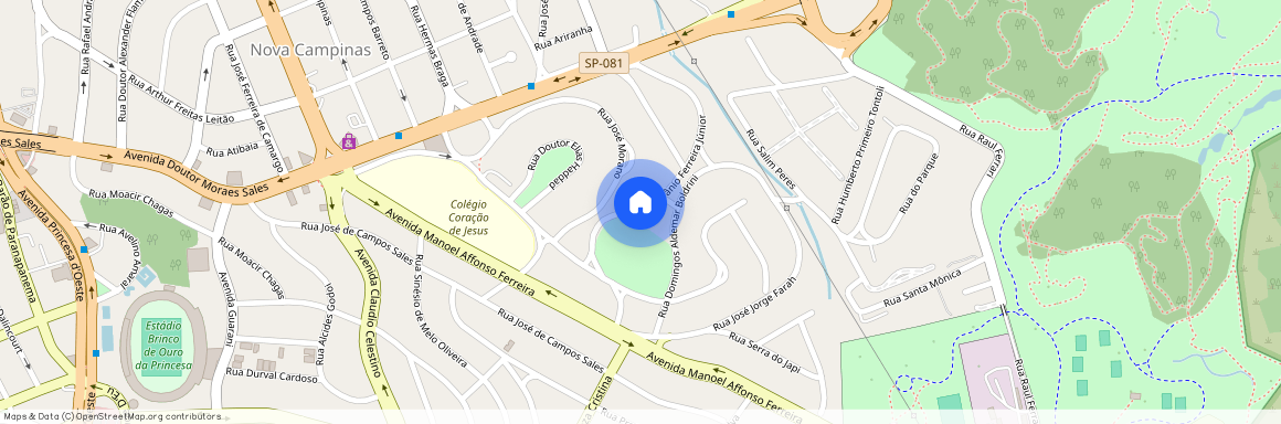 Rua Afrânio Ferreira Júnior, 431, Parque Nova Campinas, Campinas, São Paulo, 13100058