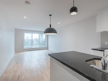 70 Rue Crépeau - Photo 3