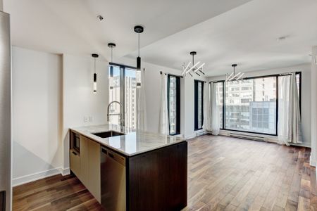 Condo for rent, Montréal (Ville-Marie) - Photo 3