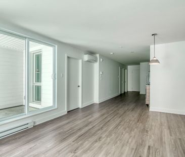 9675 Av. Papineau - Photo 2