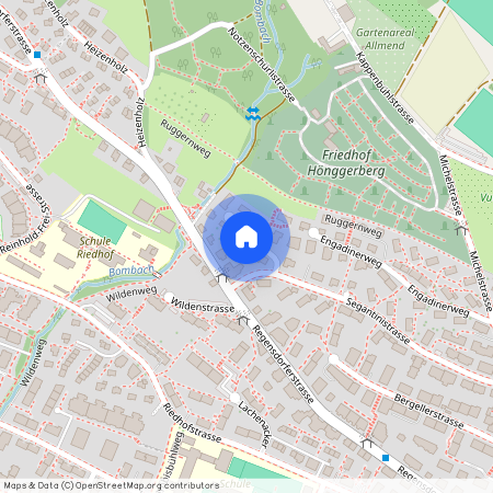 Segantinistrasse 206, 8049, Zürich