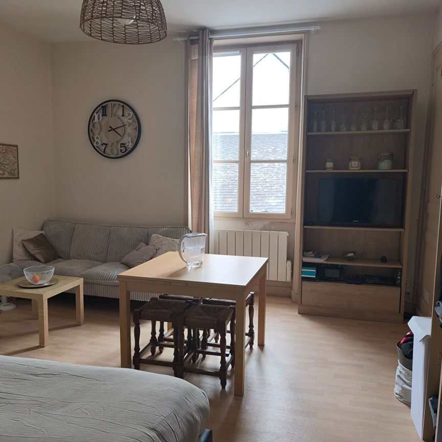 Location Appartement 3 pièces 60m² LANGEAIS 37130 - Photo 1