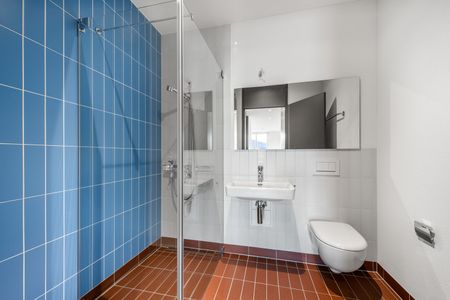 2.5 Zimmer-Wohnung im grünen Manegg Quartier - Foto 5