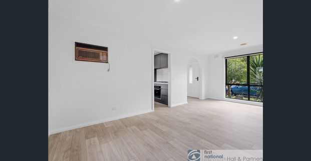 Beautifully Renovated 2 Bedroom Unit - Photo 1