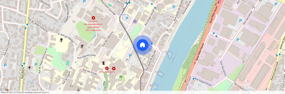 49100, Location À Angers