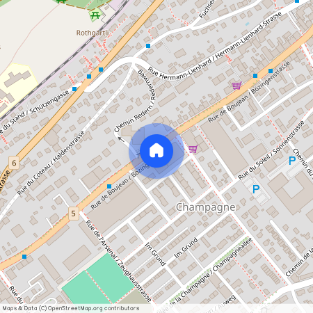 2502, Biel/Bienne, Rue De Boujean / Bözingenstrasse, 92