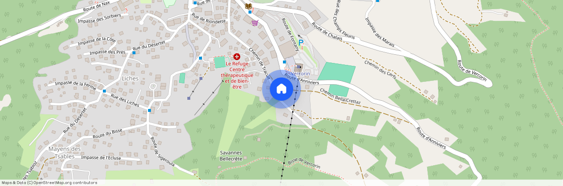 Chemin de Tracuit 37, 3967 Vercorin