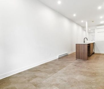 4735 Av. Papineau, H2H 1V4, H2H 1V4, Montréal - Photo 2