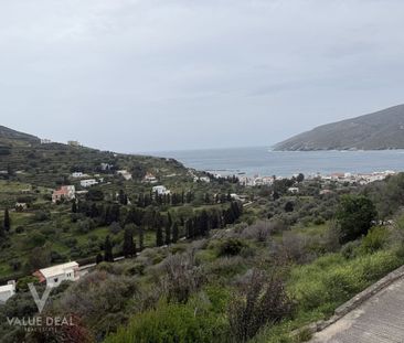 Συγκρότημα για ενοικίαση Όρμος Κορθίου (Άνδρος) - Φωτογραφία 1