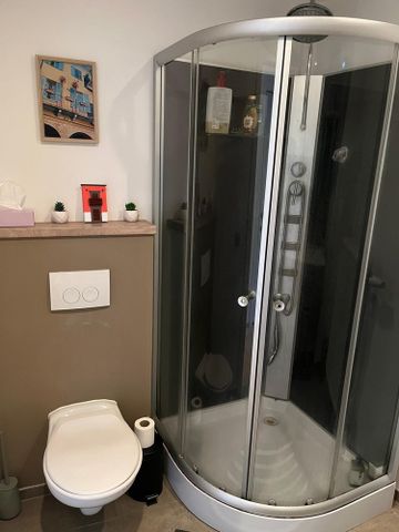 Energiezuinige rijwoning (EPC A) in centrum Leuven - Photo 3