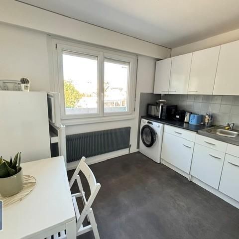 Location Appartement 1 pièce 29m² ANNEMASSE 74100 - Photo 1
