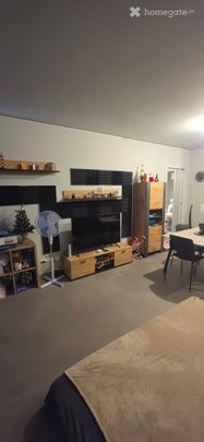 Subentrante - 2,5 Locali (Ascona) - Foto 1