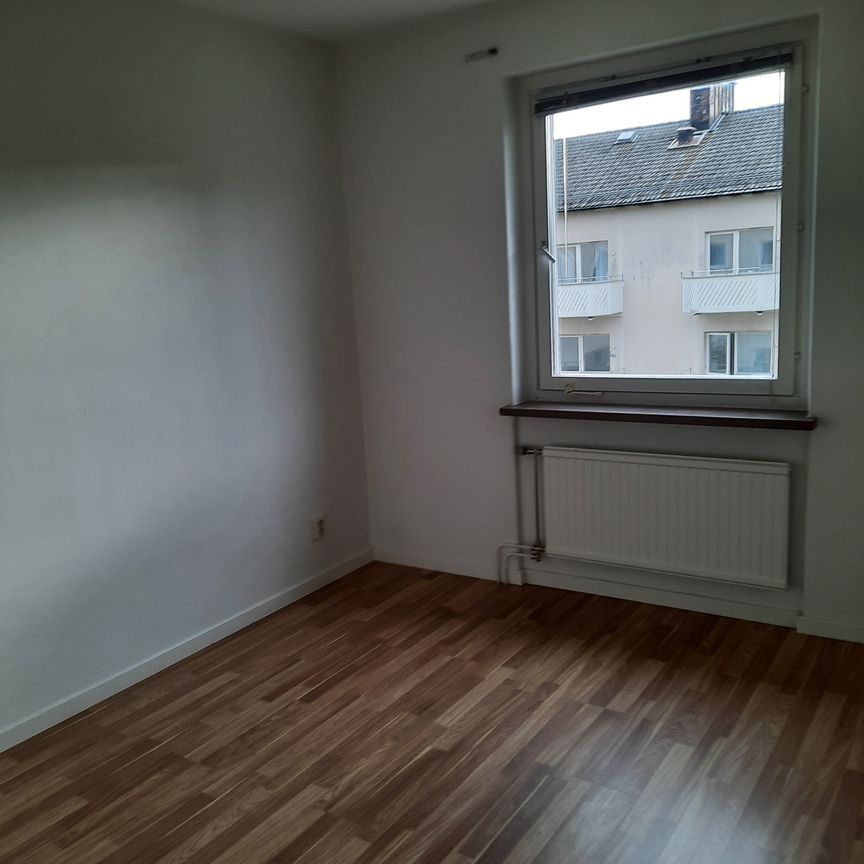Petreplan 11B - Photo 1