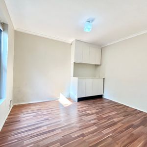 3/250 Bridge Road, Forest Lodge NSW 2037 - Studio For Rent | Domain - Photo 2